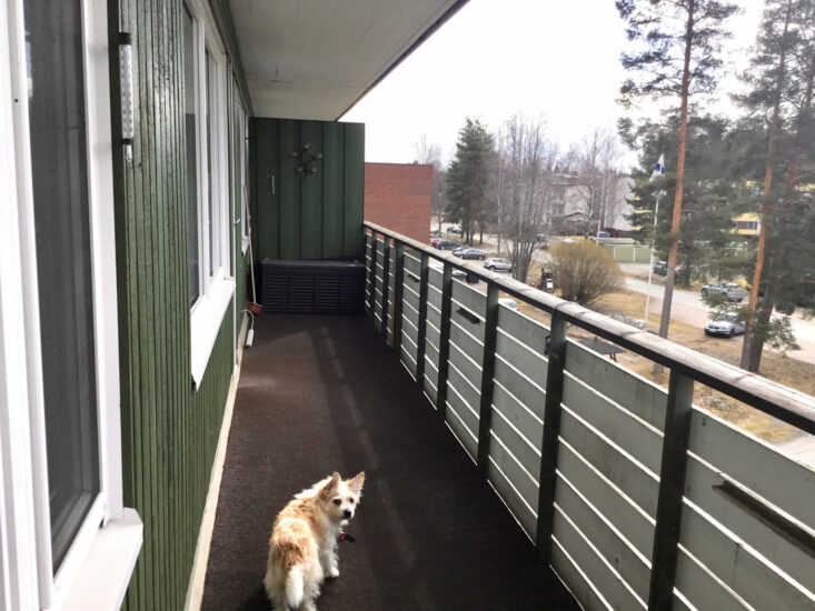 Apartment image