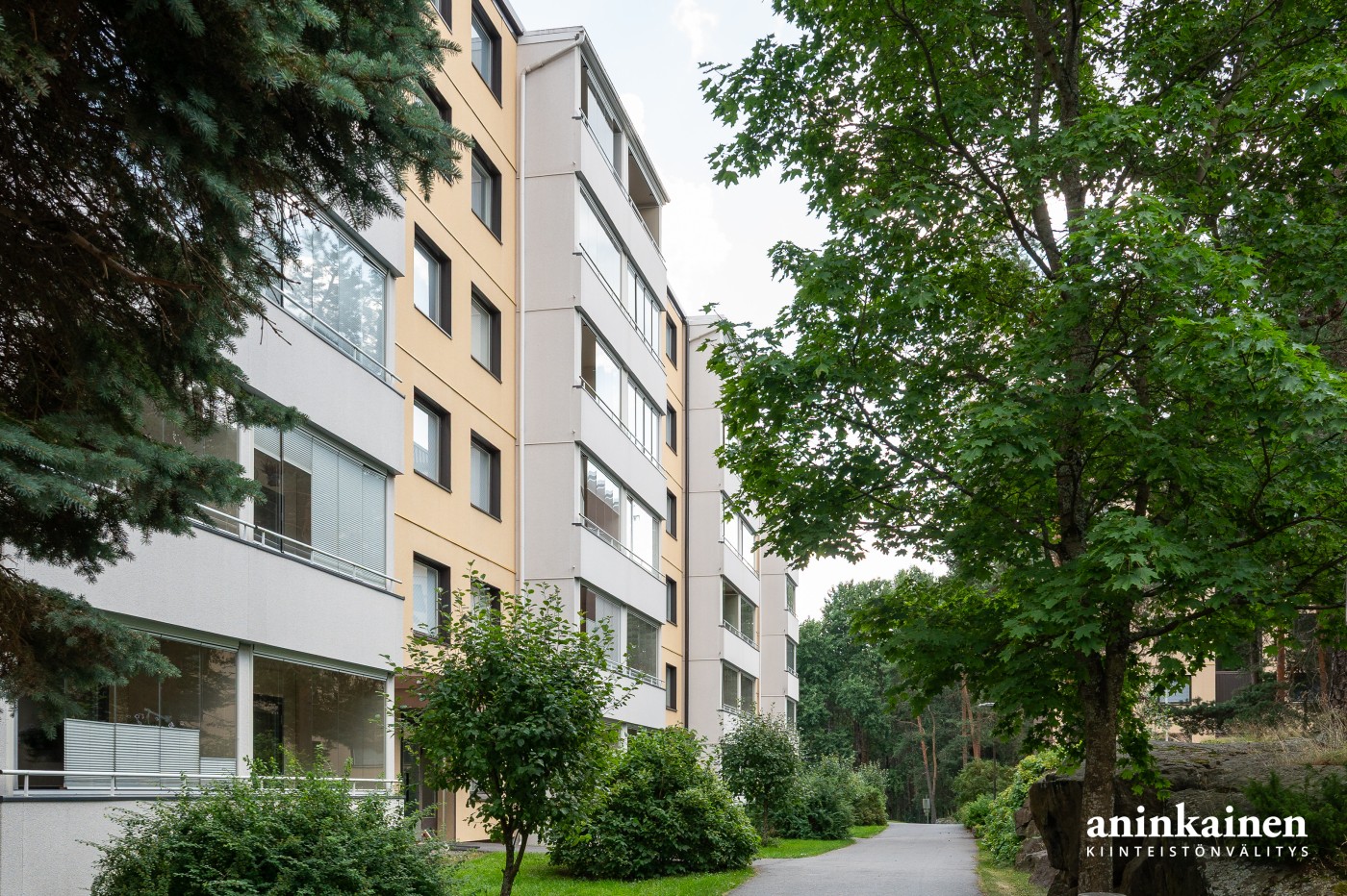 Apartment main image